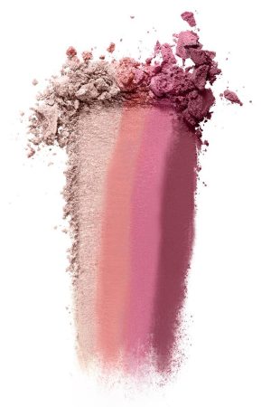Facestudio® Master Blush Color & Highlight Kit Gallery